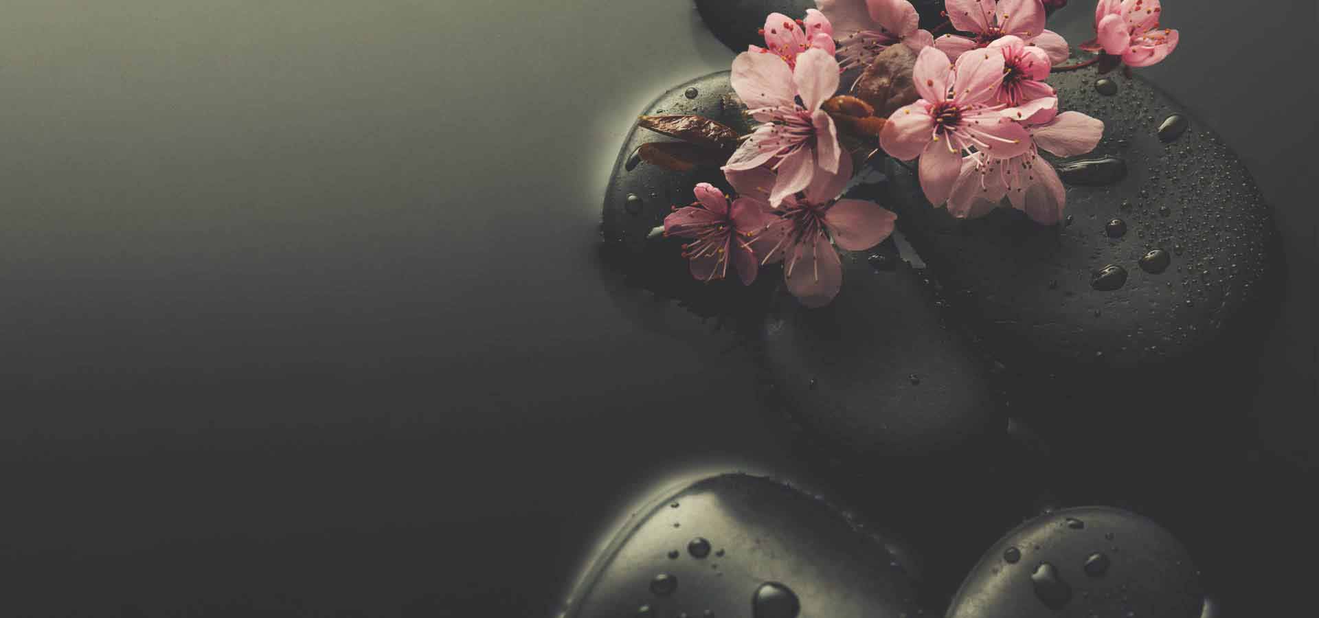 comprar cosmetica natural i ecologica