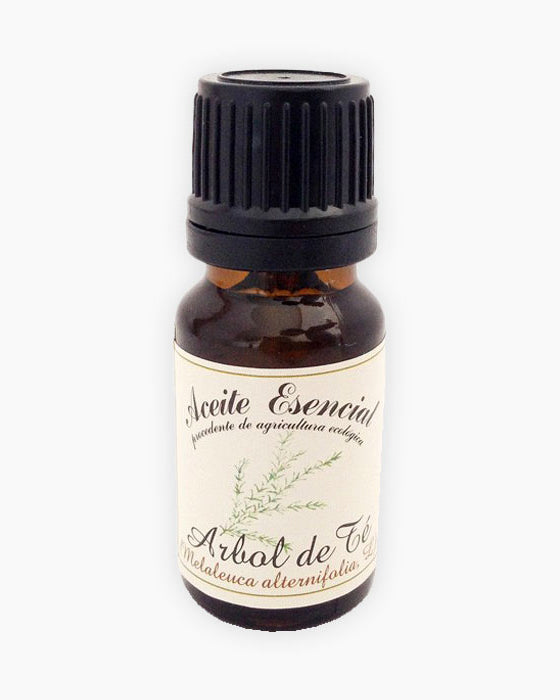 Oli essencial d'Arbre del Te (Melaleuca alternifolia)-Cos-Tarannà Cosmetica Natural