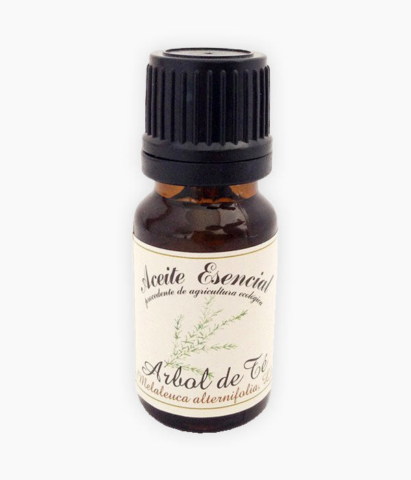 Oli essencial d'Arbre del Te (Melaleuca alternifolia)-Cos-Tarannà Cosmetica Natural