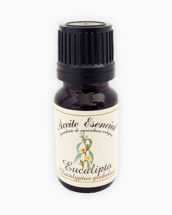 Oli essencial d'Eucaliptus (Eucaliptus globulus)-Cos-Tarannà Cosmetica Natural