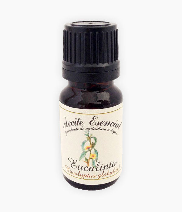 Oli essencial d'Eucaliptus (Eucaliptus globulus)-Cos-Tarannà Cosmetica Natural