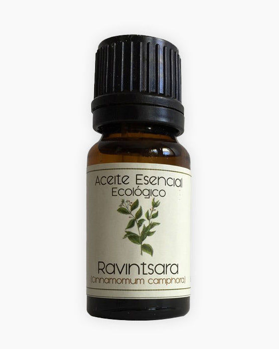 Oli essencial de Ravintsara (Cinnamomum camphora)-Cos-Tarannà Cosmetica Natural