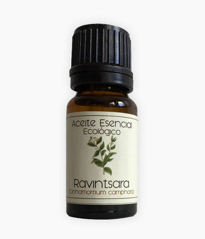 Oli essencial de Ravintsara (Cinnamomum camphora)-Cos-Tarannà Cosmetica Natural